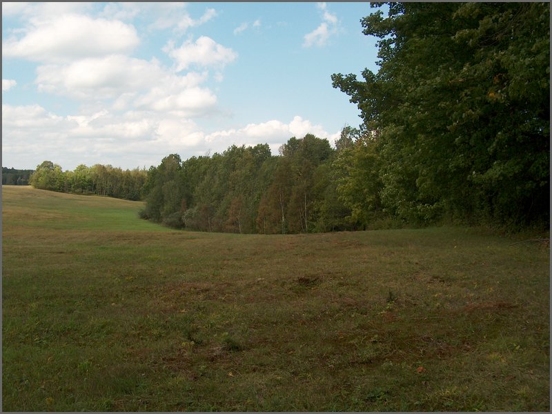 Far Field 02.jpg