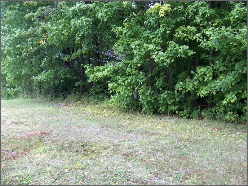 Far Field 03.jpg