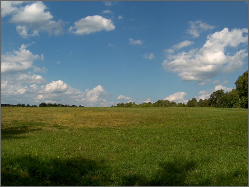 Far Field 06.jpg