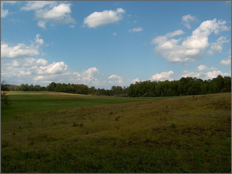 Far Field 08.jpg