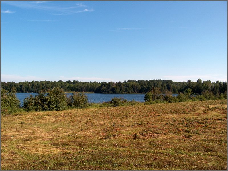 Far Field 14.jpg