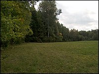 Far Field 04.jpg