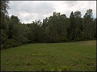 Far Field 05.jpg