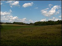 Far Field 08.jpg