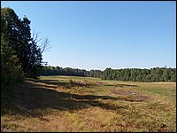 Far Field 11.jpg