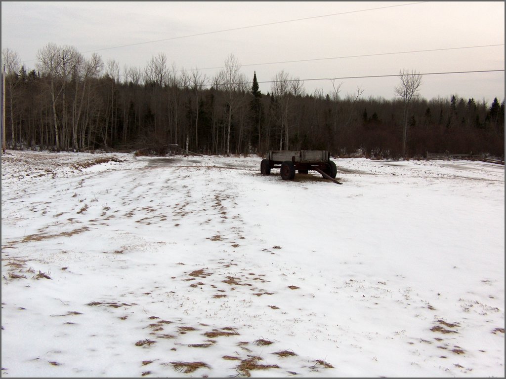 January 2008 07.jpg