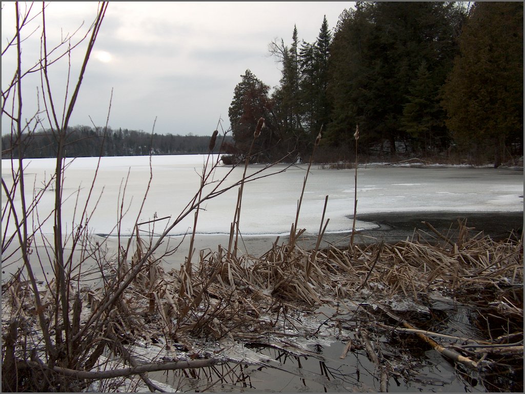 January 2008 23.jpg