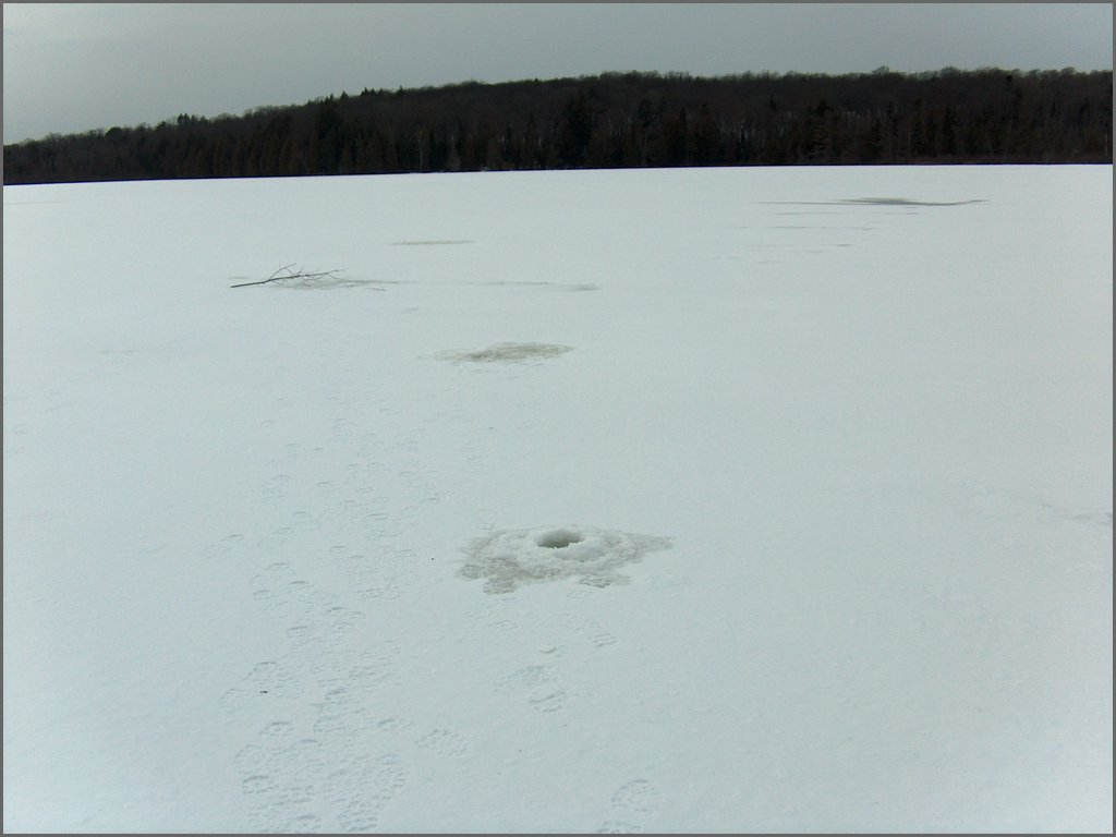 January 2008 30.jpg