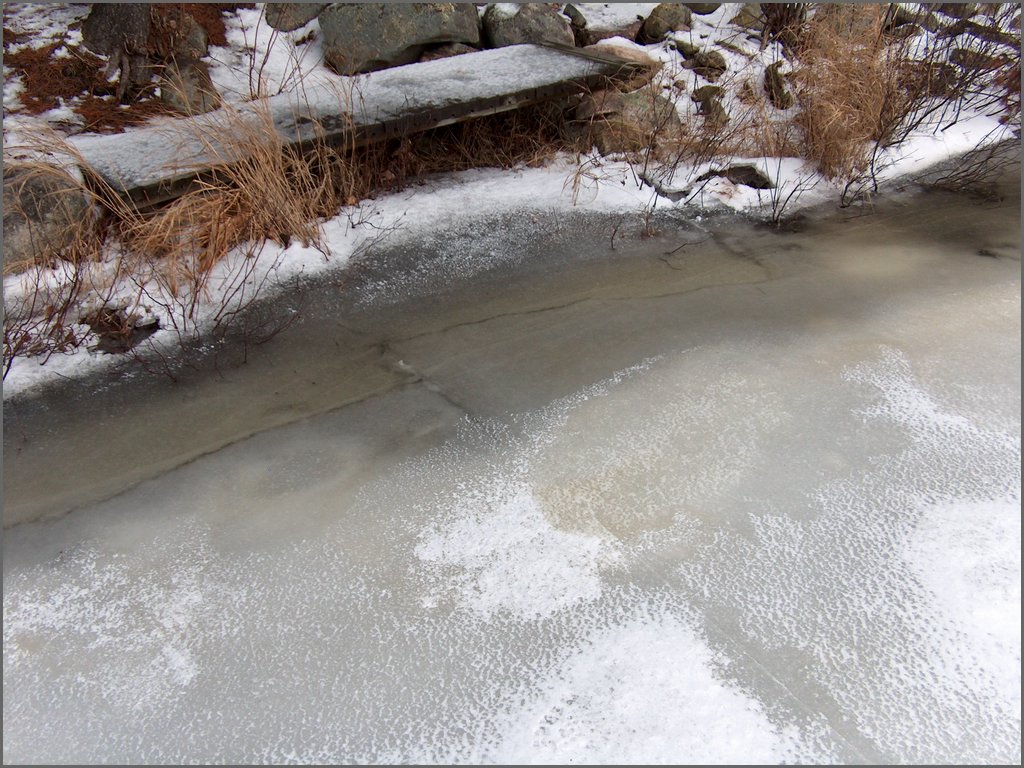 January 2008 35.jpg
