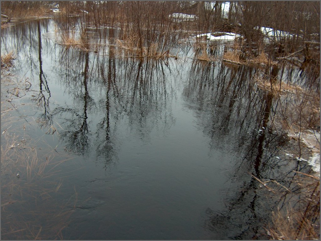 January 2008 59.jpg