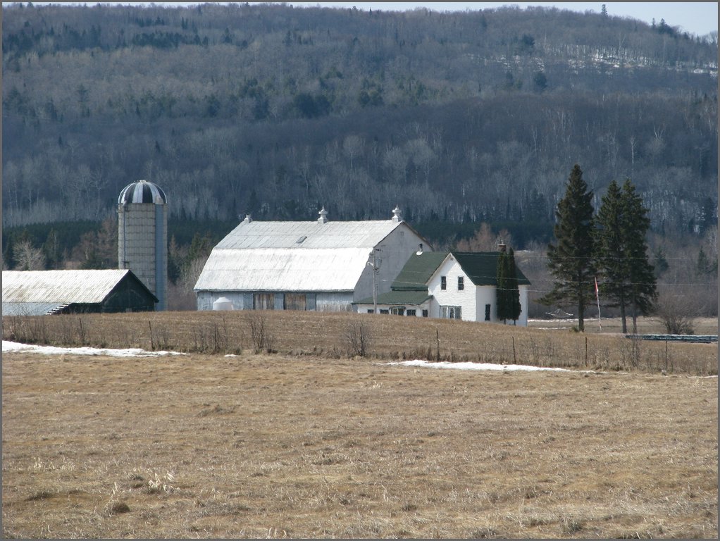 Hydro_Pond_2008_023.jpg