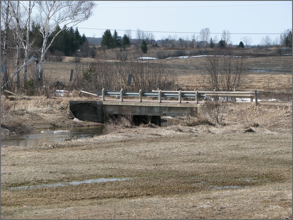 Hydro_Pond_2008_042.jpg