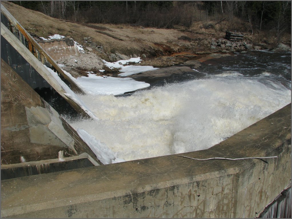 Hydro_Pond_2008_070.jpg