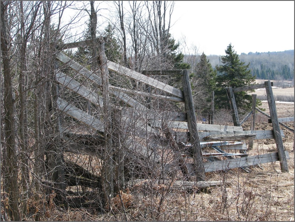 Hydro_Pond_2008_086.jpg