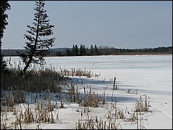 Hydro_Pond_2008_080.jpg