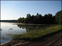 005 Mist on the Lake.jpg