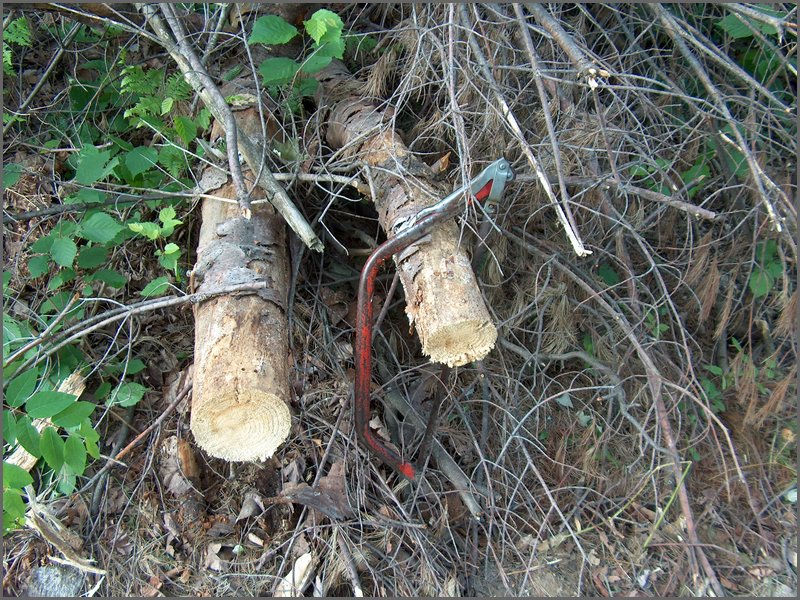 June 2007_25.JPG