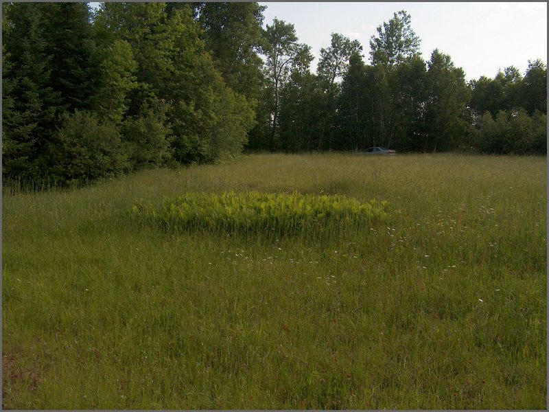 June 2007_48.JPG