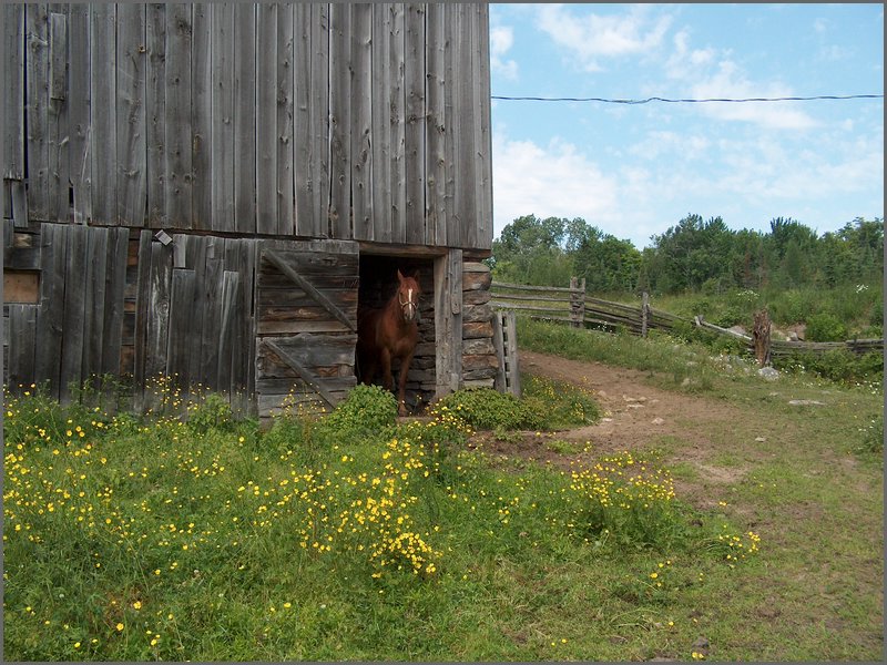 June 2007_83.JPG