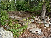 June 2007_11.JPG