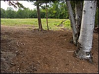 June 2007_23.JPG