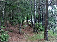 June 2007_42.JPG