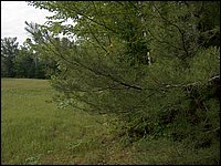 June 2007_47.JPG