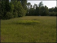 June 2007_48.JPG