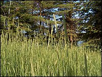 June 2007_50.JPG
