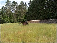 June 2007_64.JPG