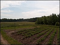 June 2007_65.JPG