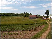 June 2007_66.JPG