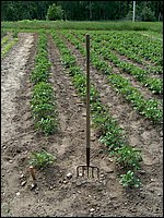 June 2007_68.JPG