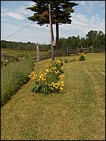 June 2007_69.JPG