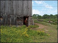 June 2007_83.JPG