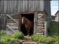 June 2007_84.JPG