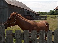 June 2007_92.JPG