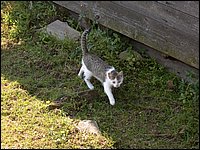 June 2007_93.JPG