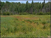 June 2007_94.JPG
