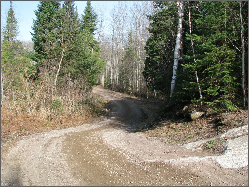 April 2008 003.jpg