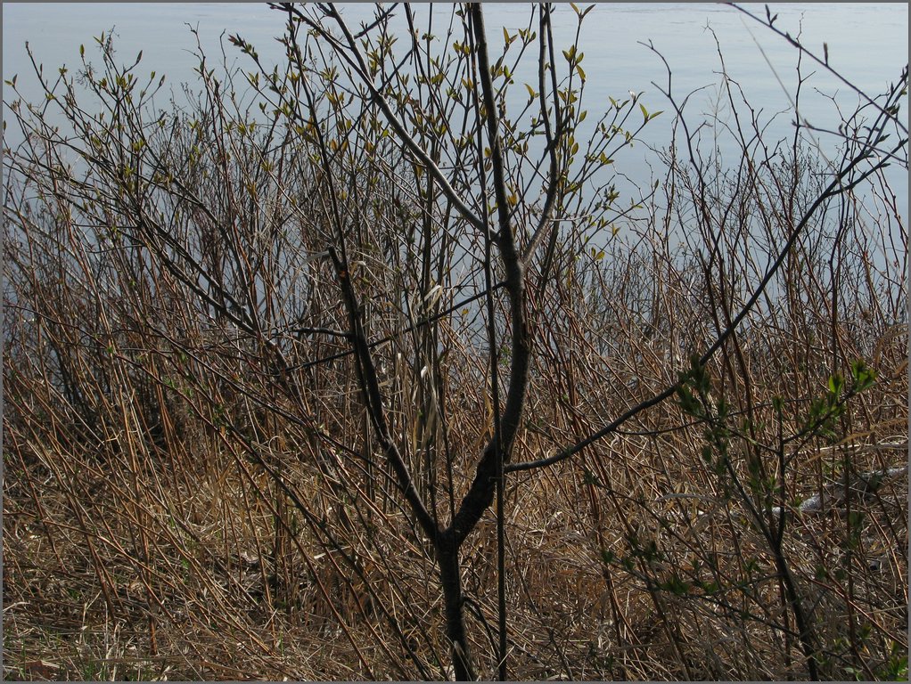 April 2008 024.jpg