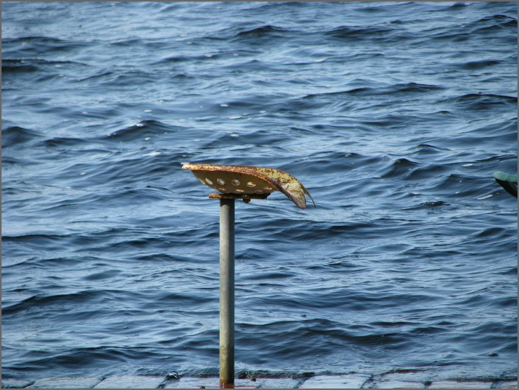 April 2008 046.jpg