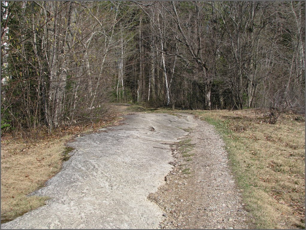 April 2008 056.jpg
