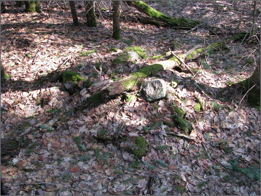 April 2008 061.jpg