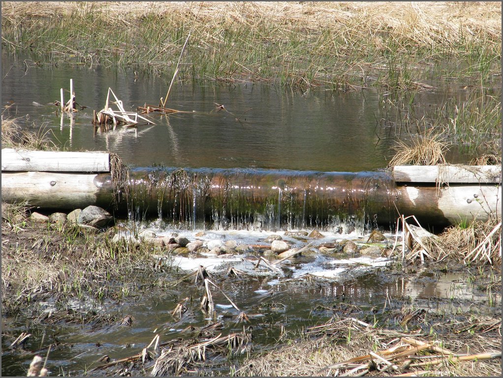 April 2008 075.jpg