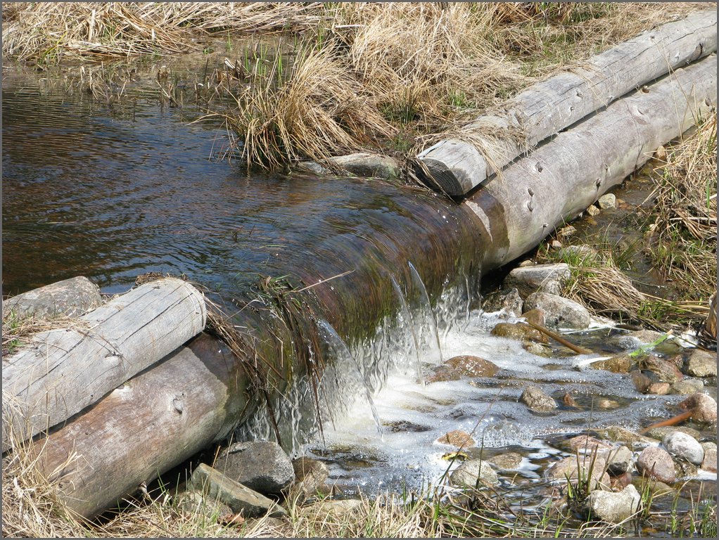 April 2008 076.jpg