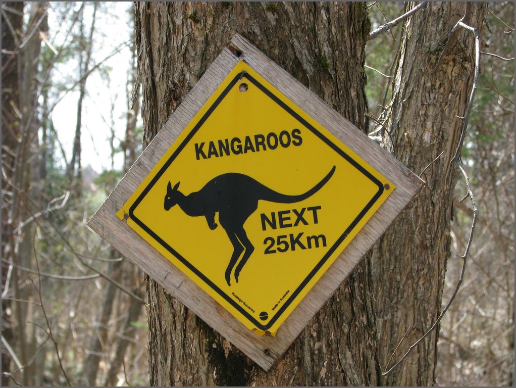 April 2008 107.jpg