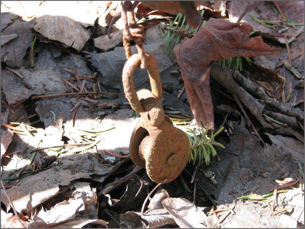 April 2008 121.jpg