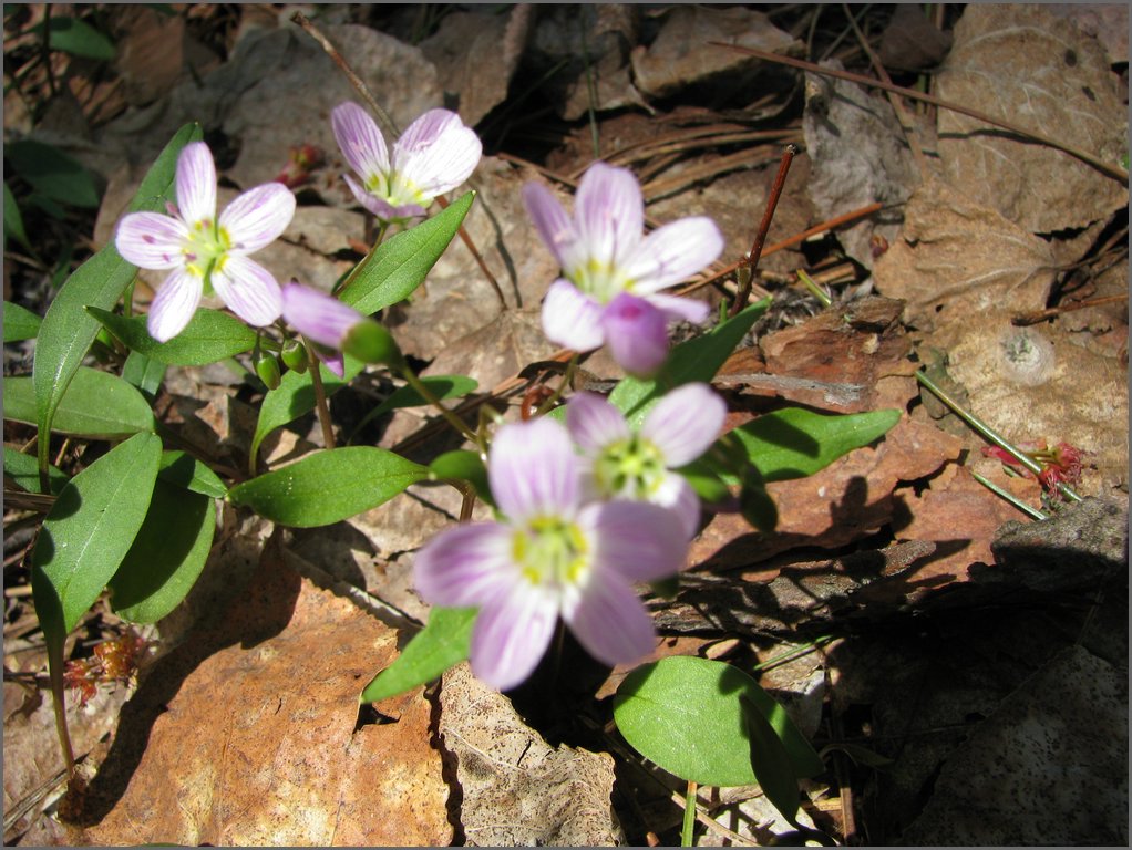 April 2008 125.jpg