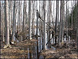 April 2008 008.jpg